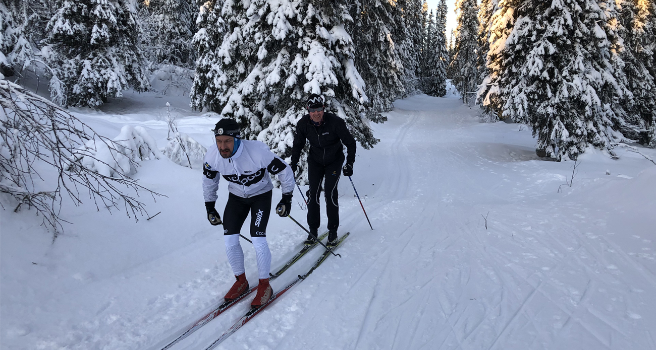 två personer åker skidor i skidspår
